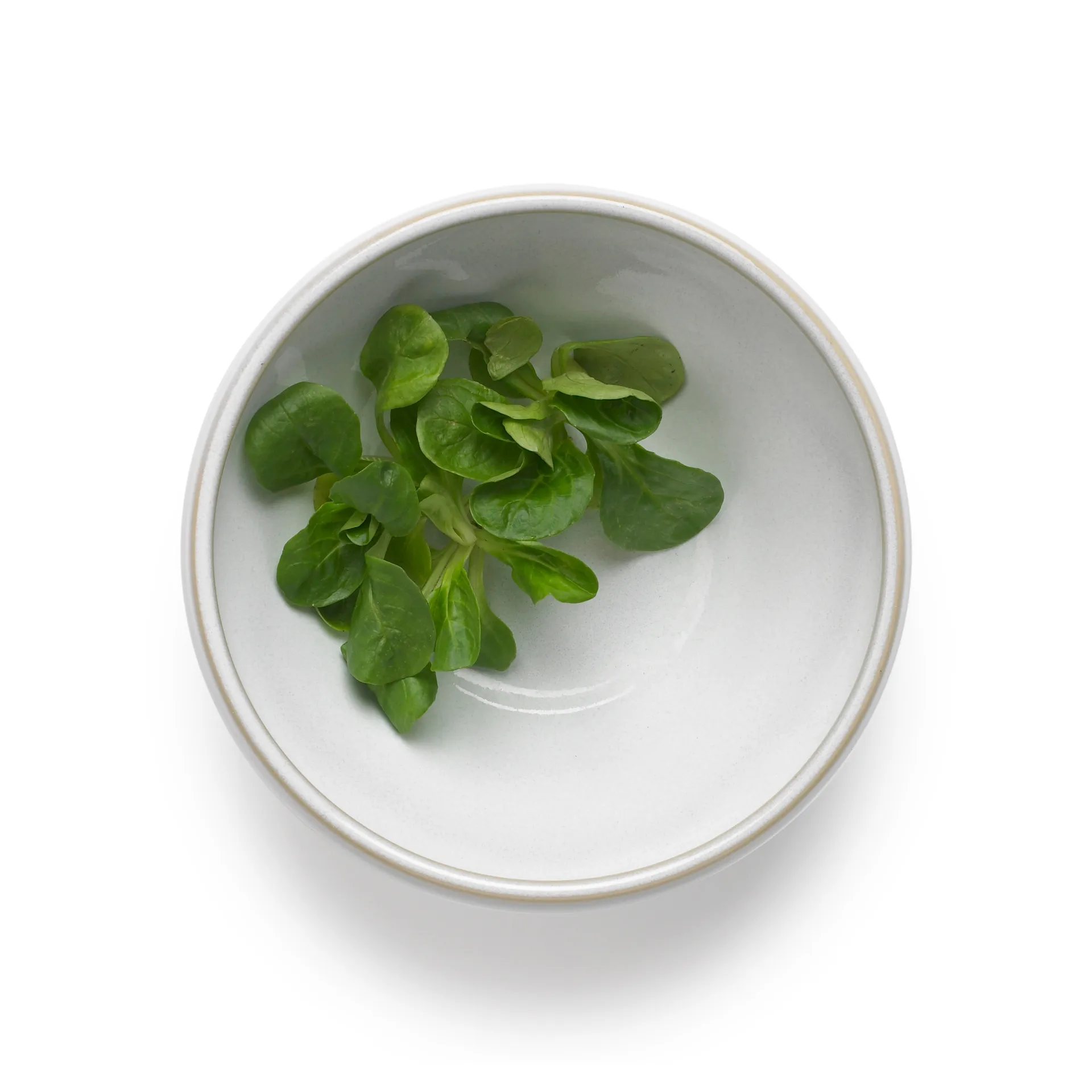 Tavola dough ボウル 0.5 L 2パック, White Knabstrup Keramik