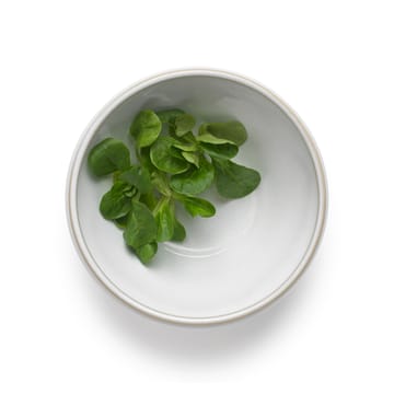 Tavola dough ボウル 0.5 L 2パック - White - Knabstrup Keramik