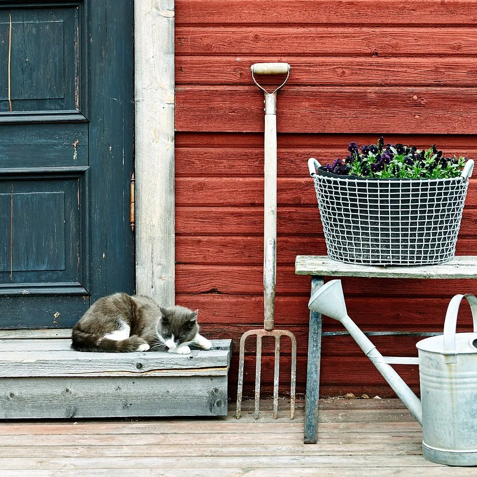 プラントバッグ 3個セット( Korbo バスケット用 ), 35 l KORBO | コルボ