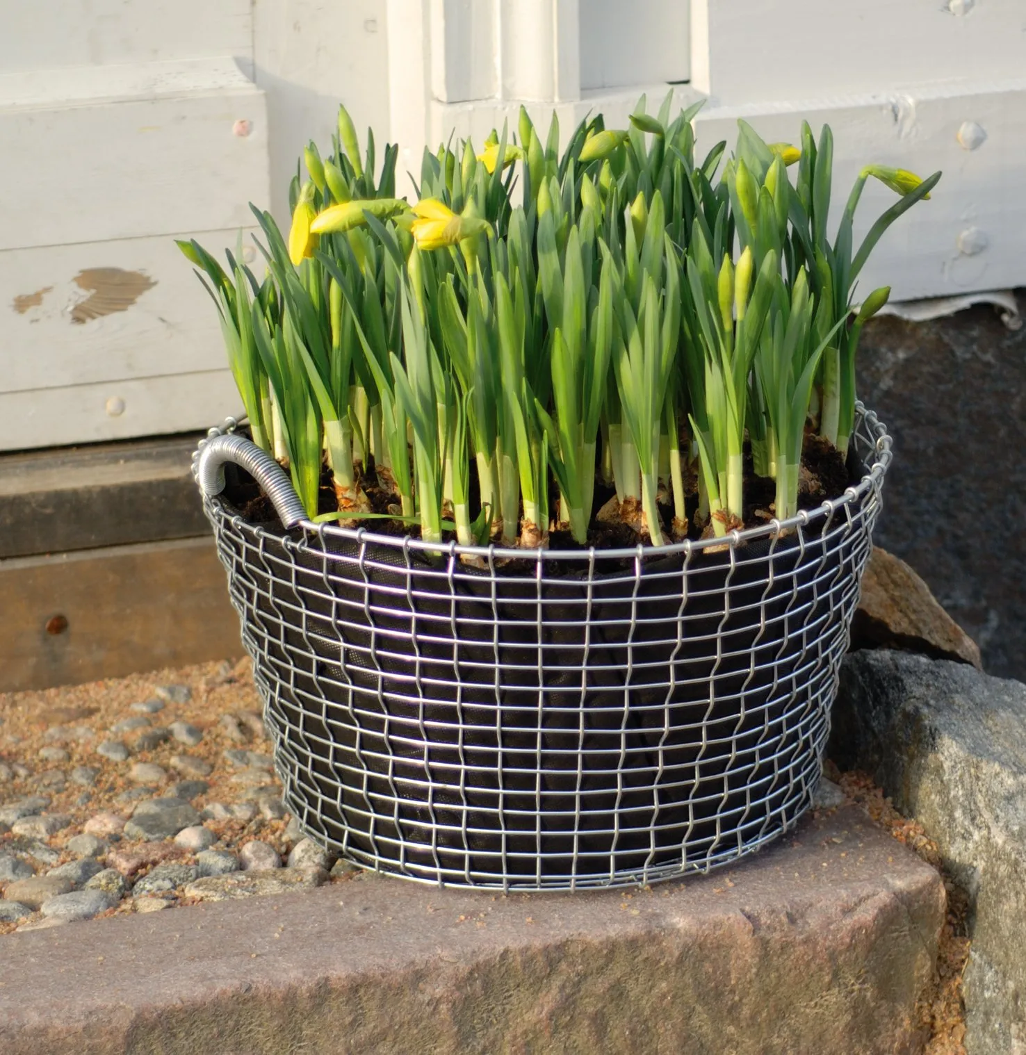 プラントバッグ 3個セット( Korbo バスケット用 ), 35 l KORBO | コルボ