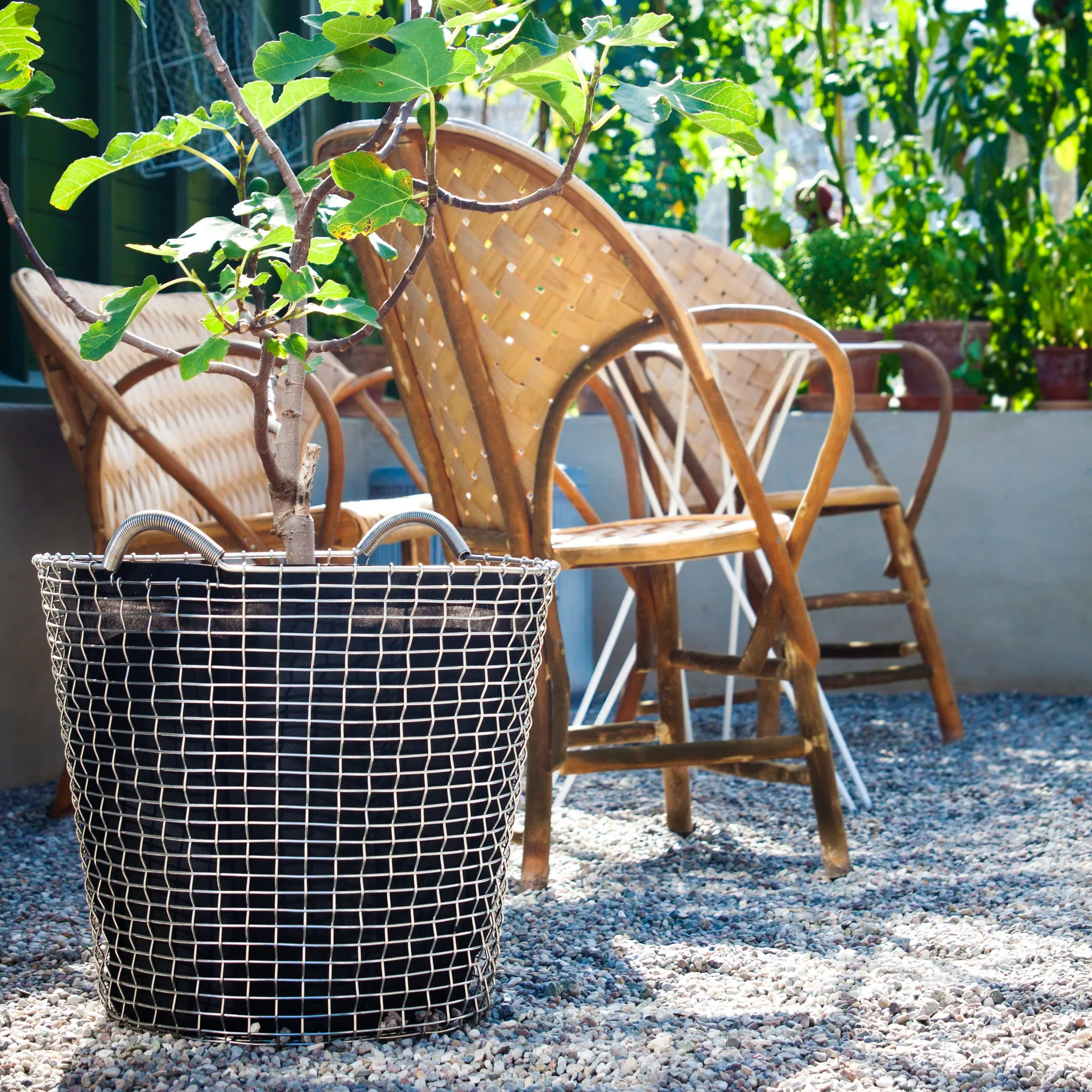 プラントバッグ 3個セット( Korbo バスケット用 ), 65 l KORBO | コルボ