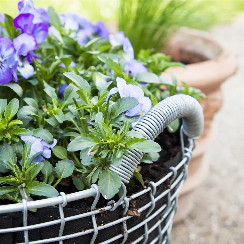 Korbo クラシック 24, acid proof steel KORBO | コルボ