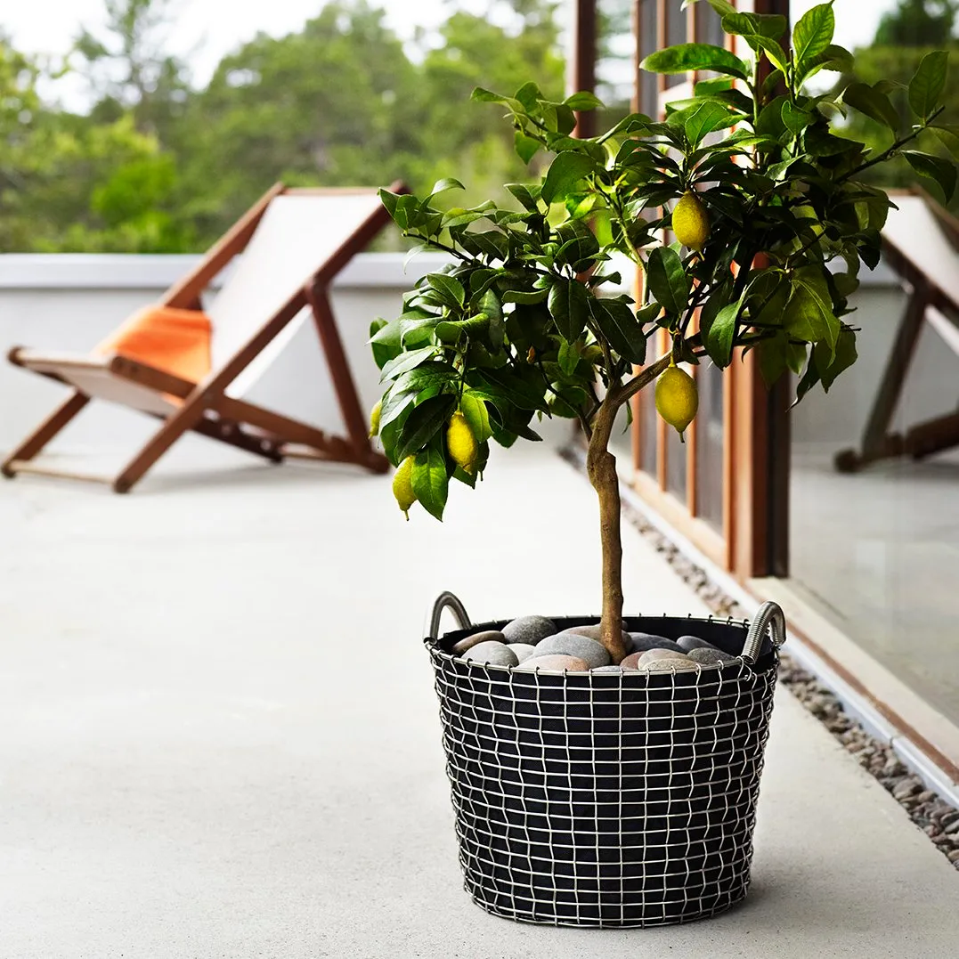 Korbo クラシック 24, acid proof steel KORBO | コルボ