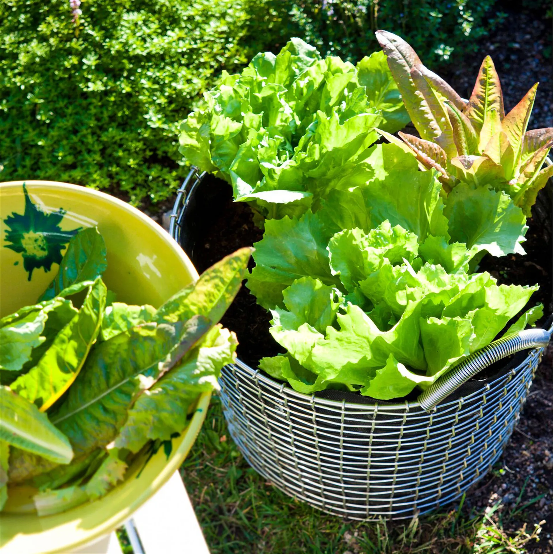 Korbo bin 24, galvanized steel KORBO | コルボ