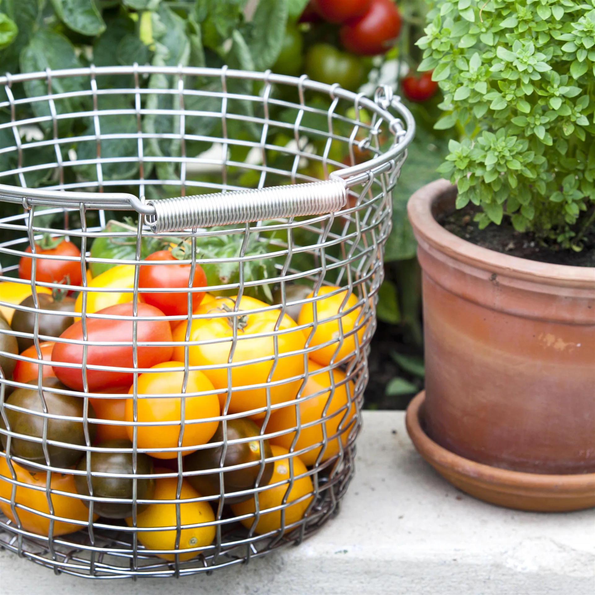 Korbo bucket 16, acid proof steel KORBO | コルボ