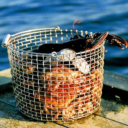 Korbo bucket 20, acid proof steel KORBO | コルボ