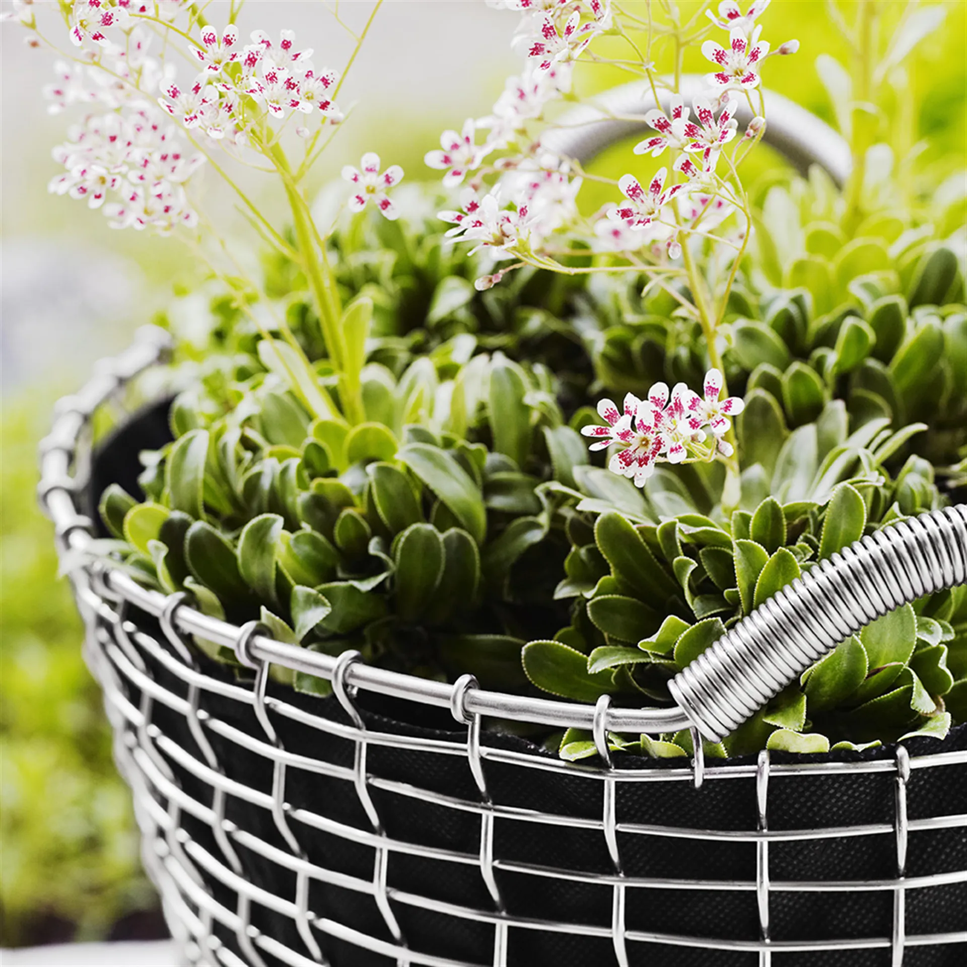 Korbo classic 35, acid proof steel KORBO | コルボ