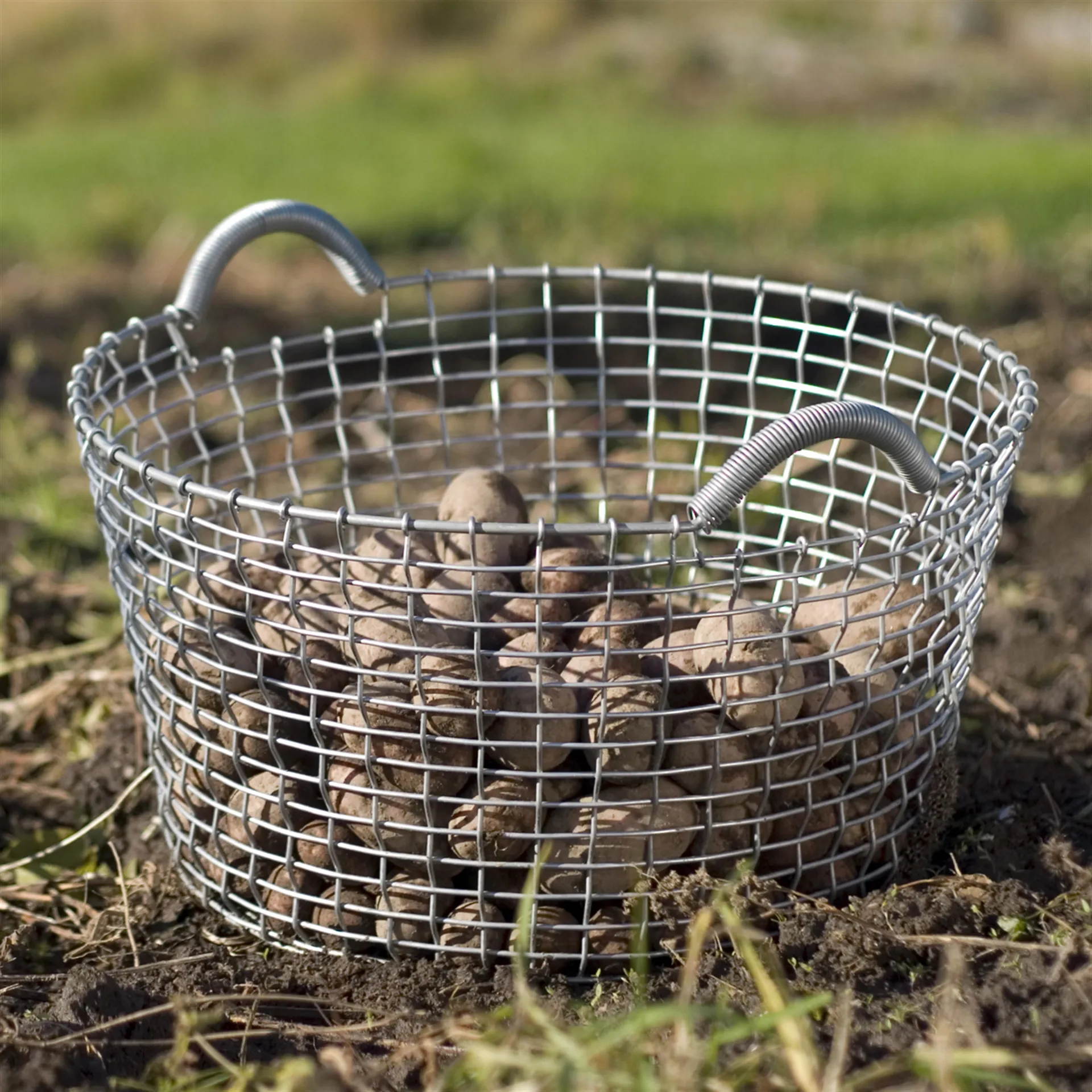 Korbo classic 35, galvanized steel KORBO | コルボ