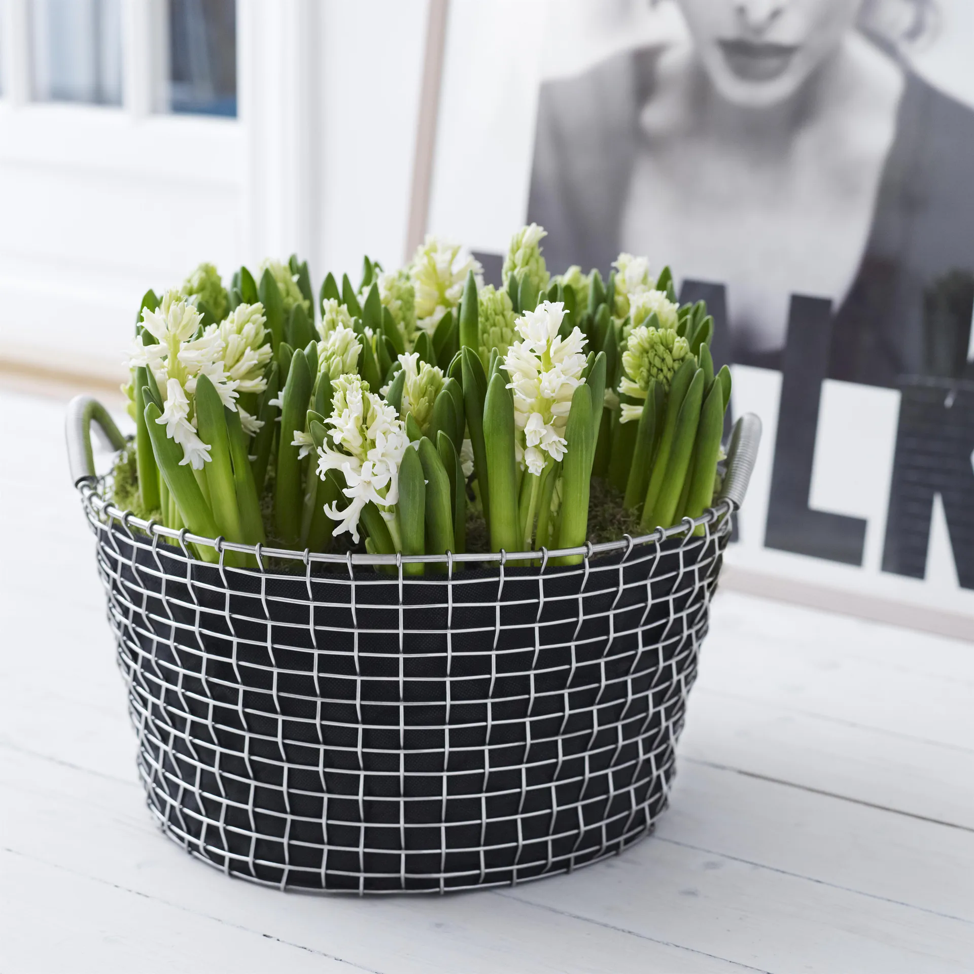 Korbo classic 35, galvanized steel KORBO | コルボ