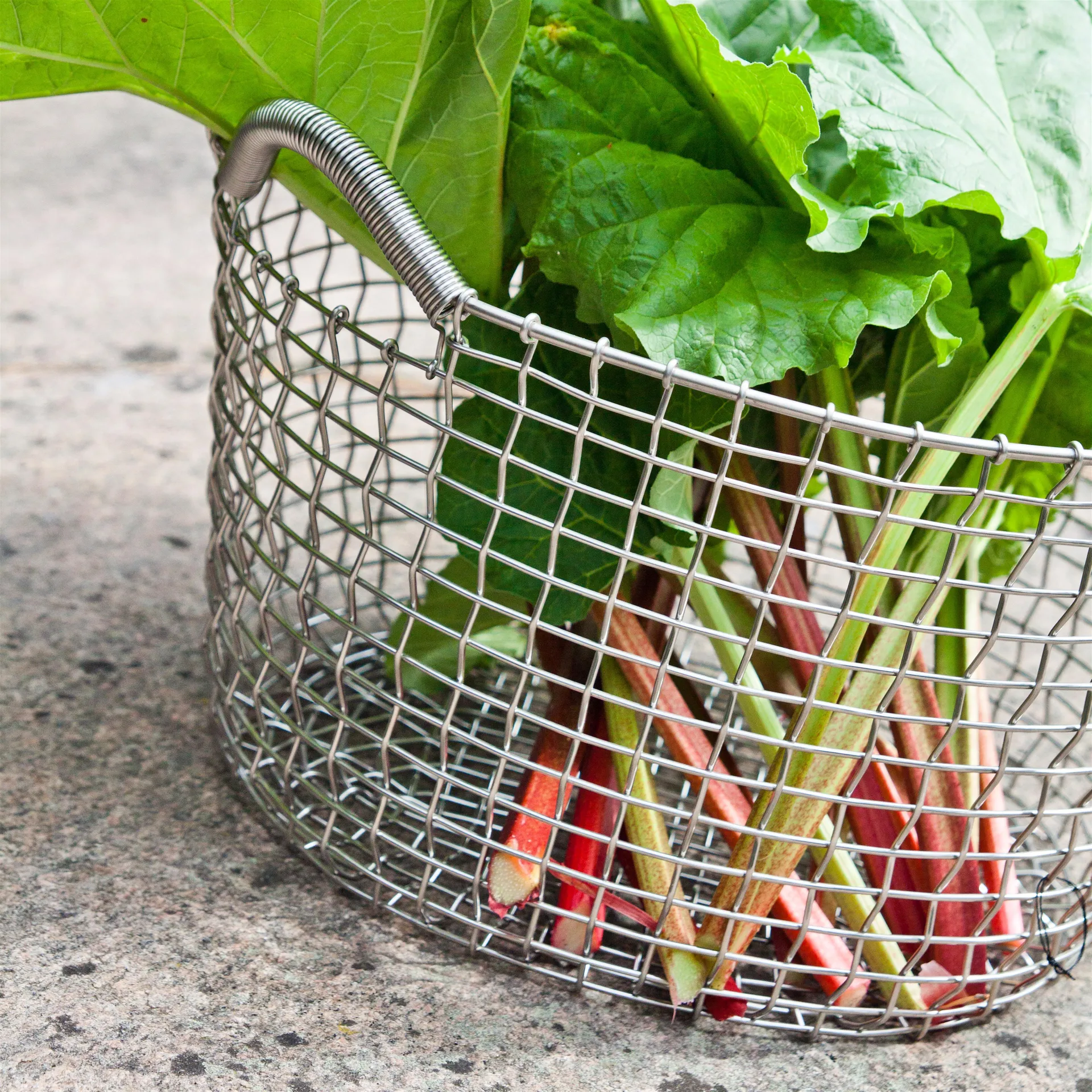 Korbo classic 35, galvanized steel KORBO | コルボ