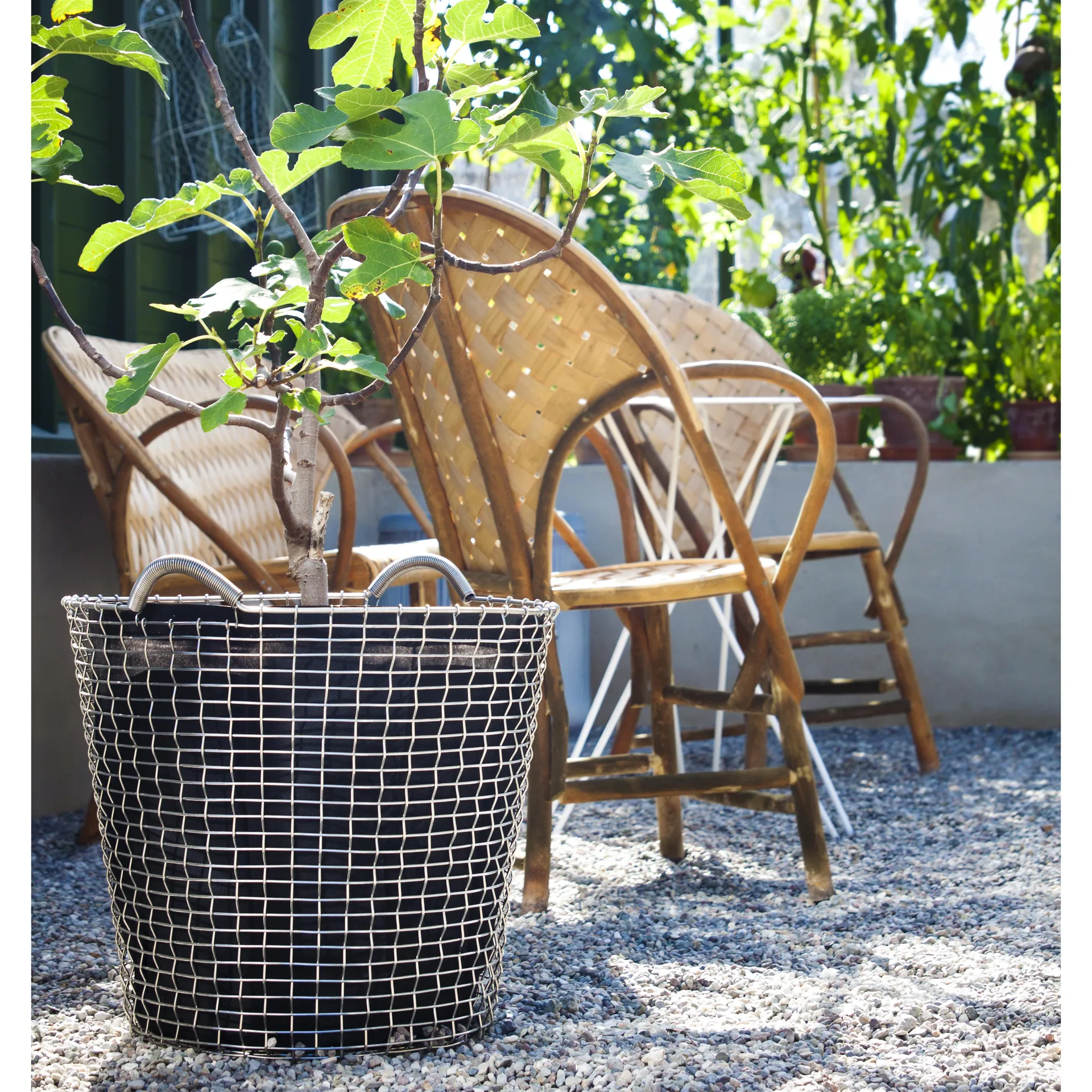 Korbo classic 65, acid proof steel KORBO | コルボ