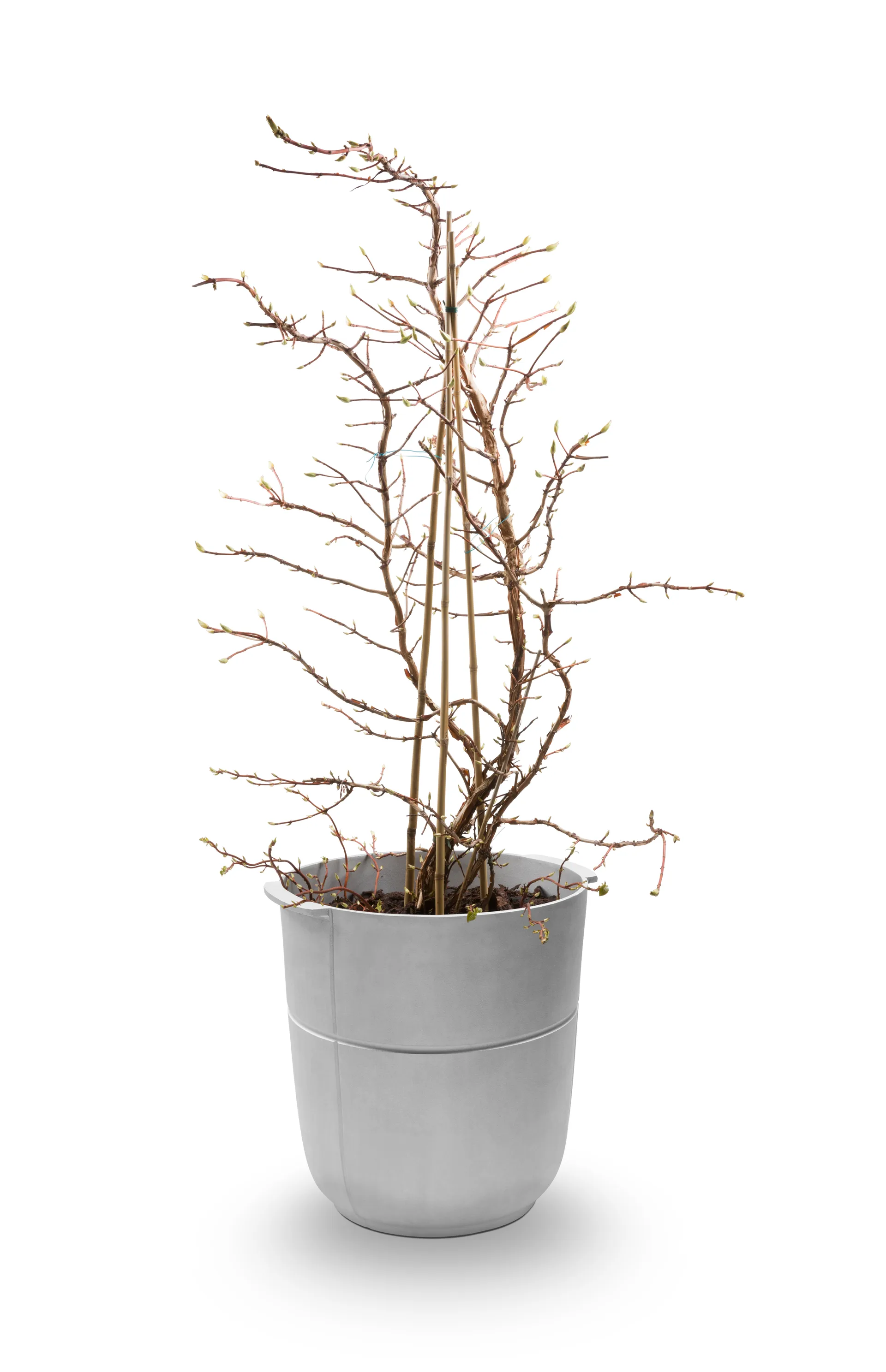 Linea 鉢 no 1 high, Aluminium KORBO | コルボ