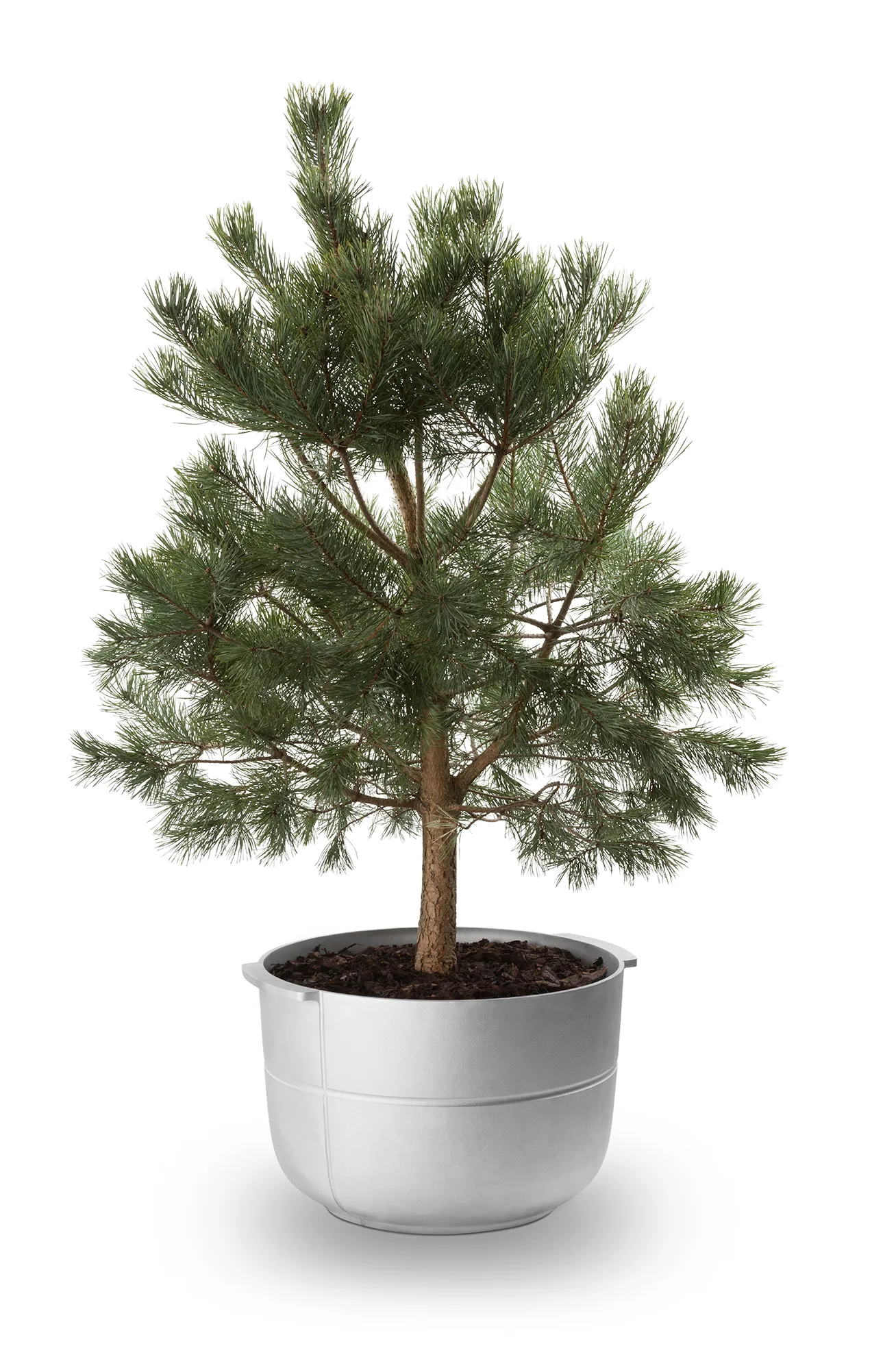 Linea 鉢 No. 2 Medium, Aluminium KORBO | コルボ