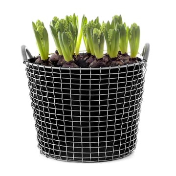 Plant bag for the Korbo バスケット 3パック - 24 l - Korbo | コルボ
