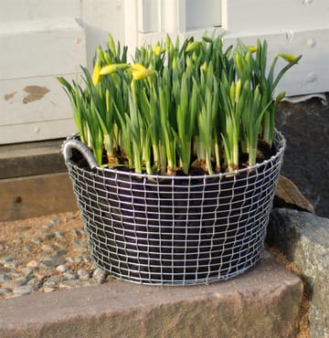 Plant bag for the Korbo バスケット 3パック - 24 l - Korbo | コルボ