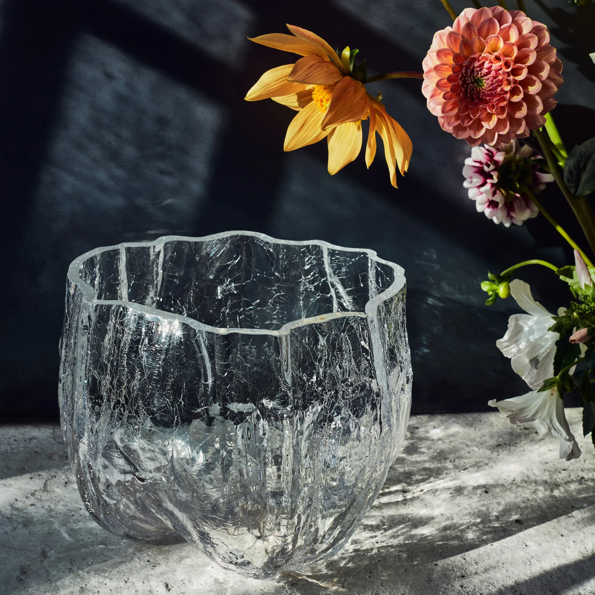 Crackle ボウル ラージ, clear Kosta Boda | コスタボダ