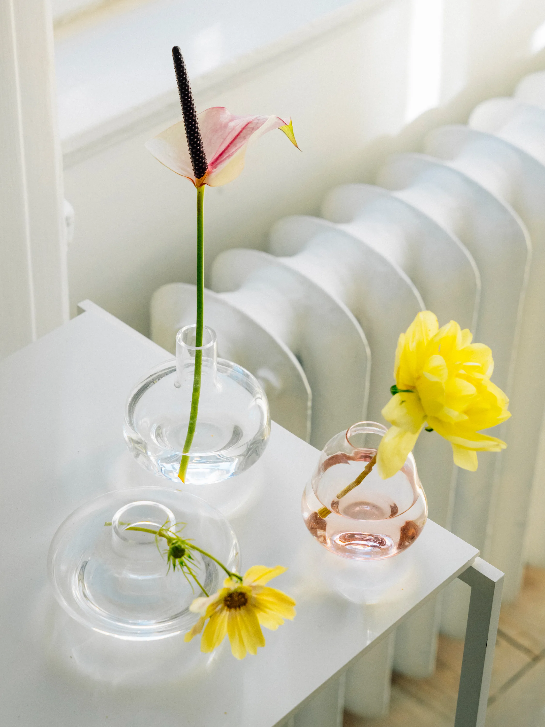 コスタボダ costa boda 小瓶3点