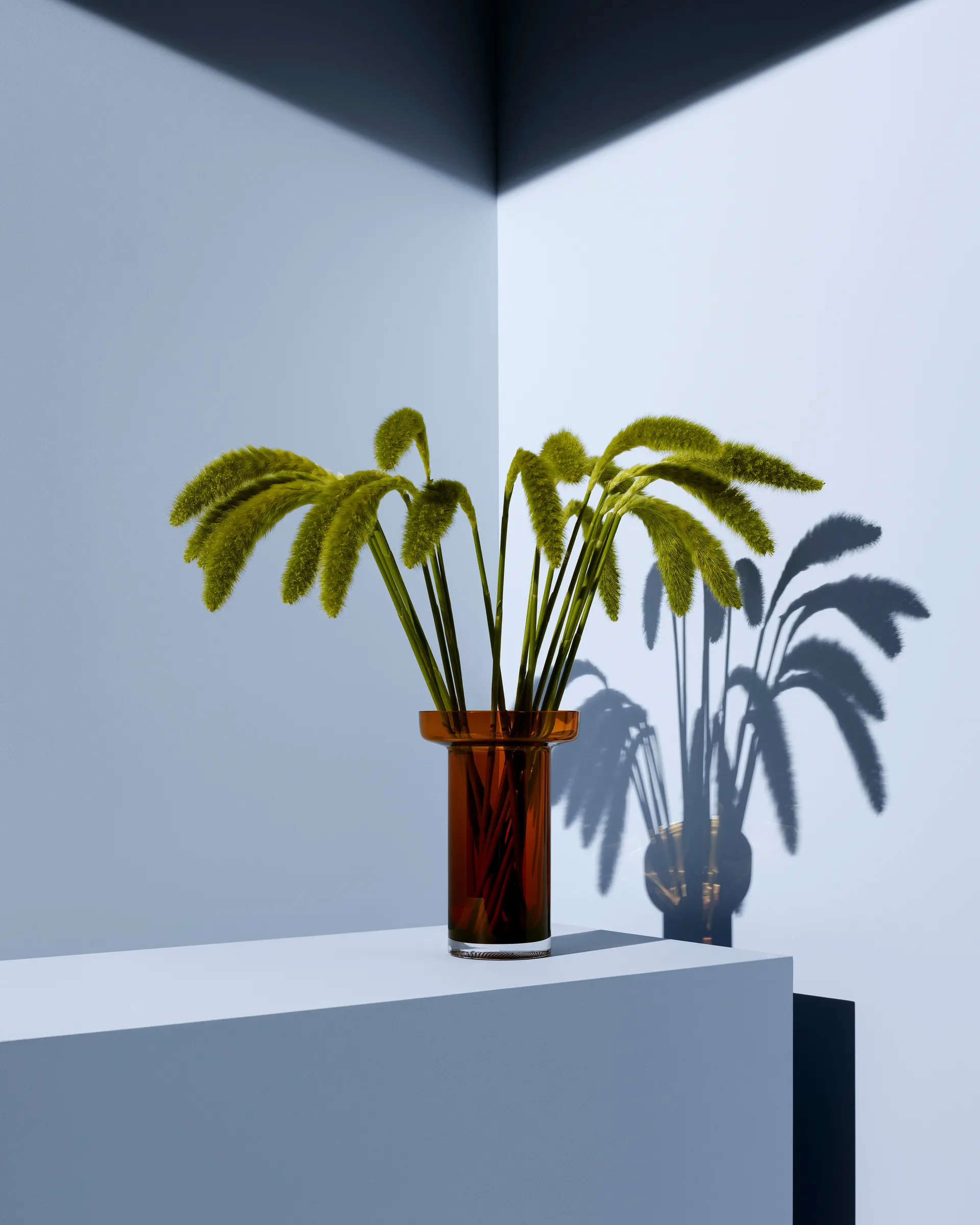 Limelight Rose 花瓶 23 cm, Amber Kosta Boda | コスタボダ