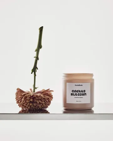 Mind センティッドキャンドル - Cactus Blossom, 330 g - Kosta Boda | コスタボダ