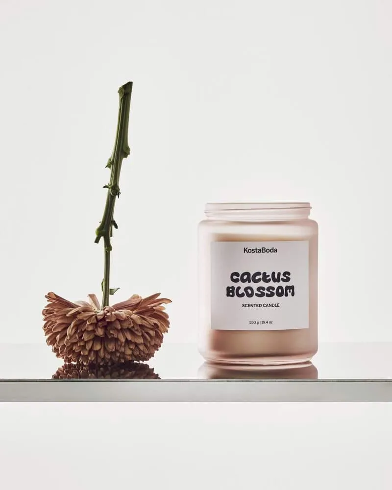 Mind センティッドキャンドル, Cactus Blossom, 550 g Kosta Boda | コスタボダ