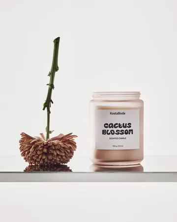 Mind センティッドキャンドル - Cactus Blossom, 550 g - Kosta Boda | コスタボダ