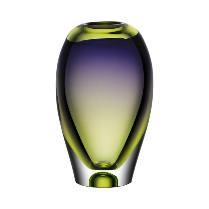 Vision 花瓶 255 mm - Purple-green - Kosta Boda | コスタボダ