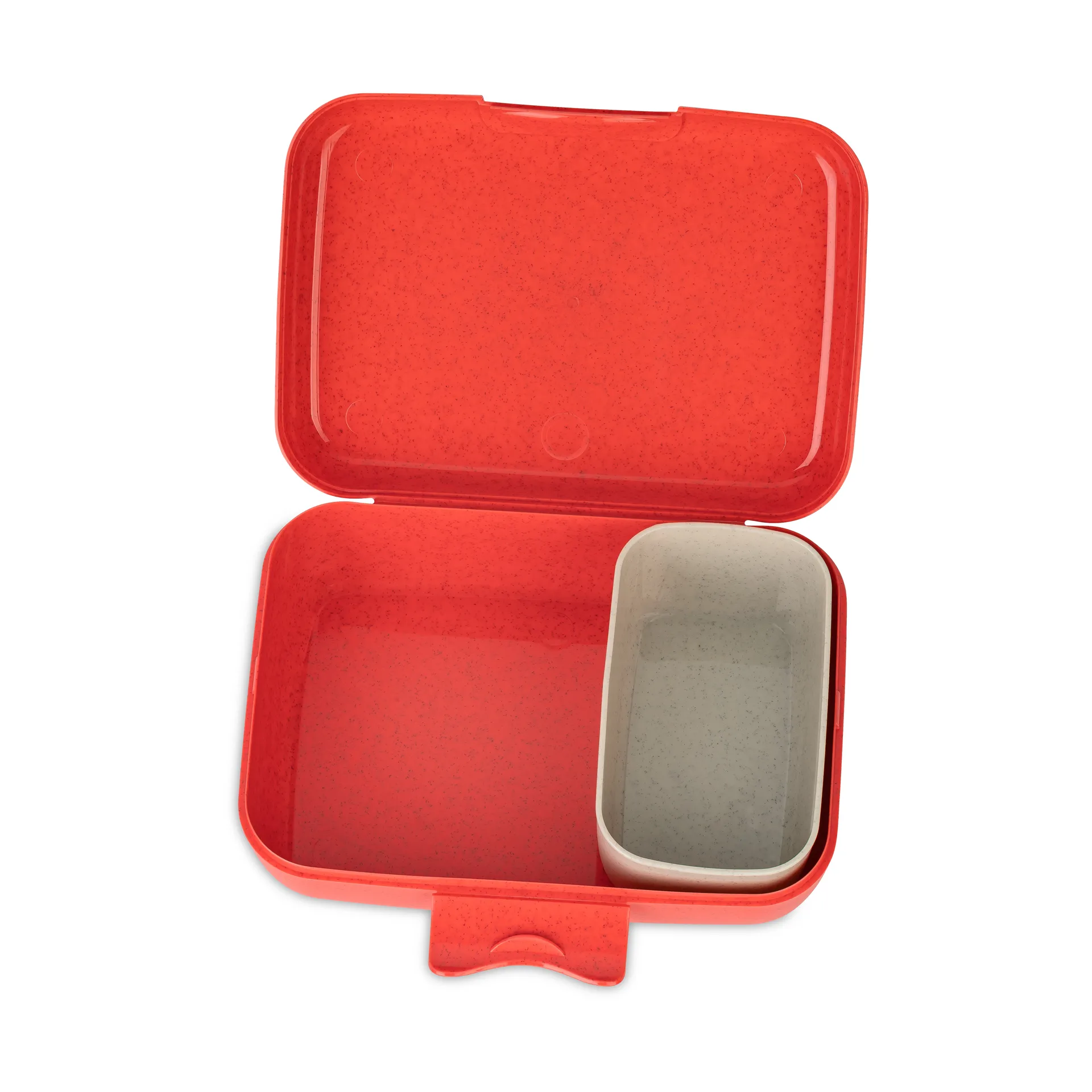 Candy ランチボックス L, Dreams Koziol