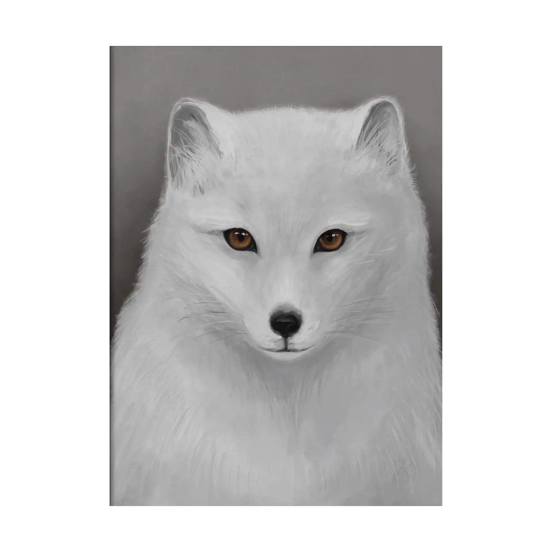 Arctic fox ポスター, 30x40 cm Kunskapstavlan®