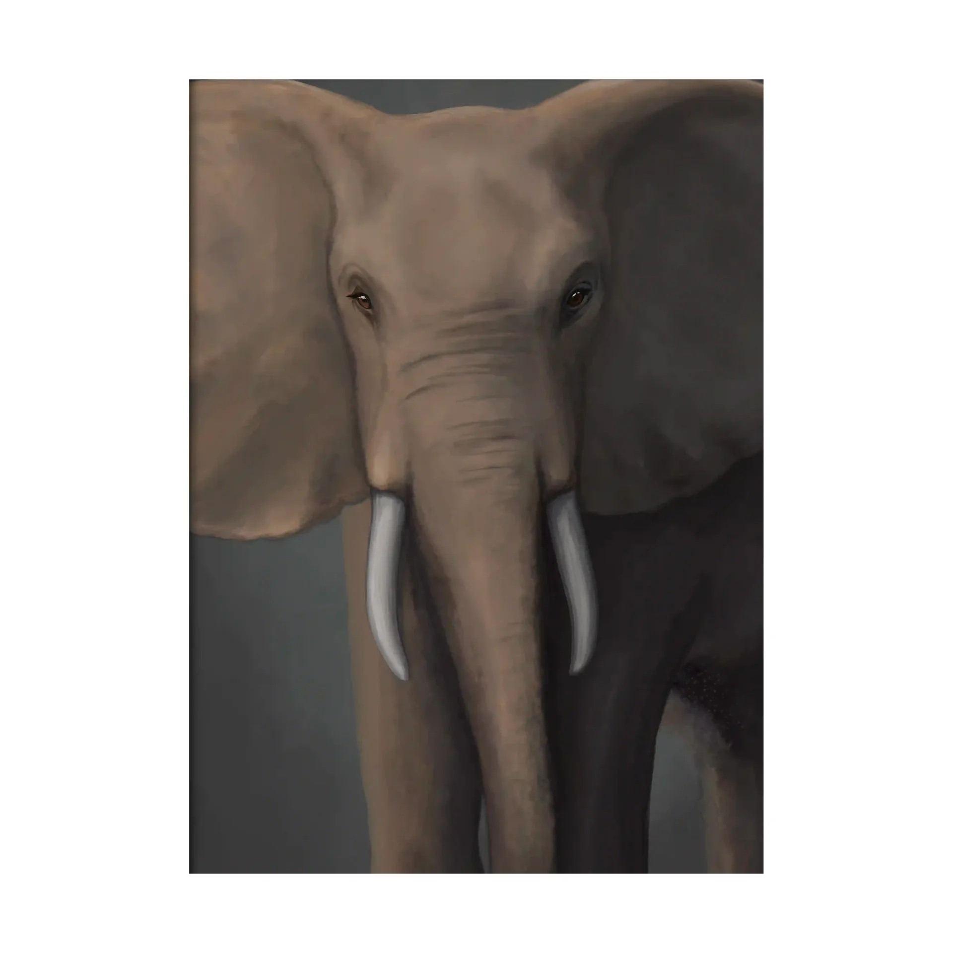 Forest elephant ポスター, 50x70 cm Kunskapstavlan®