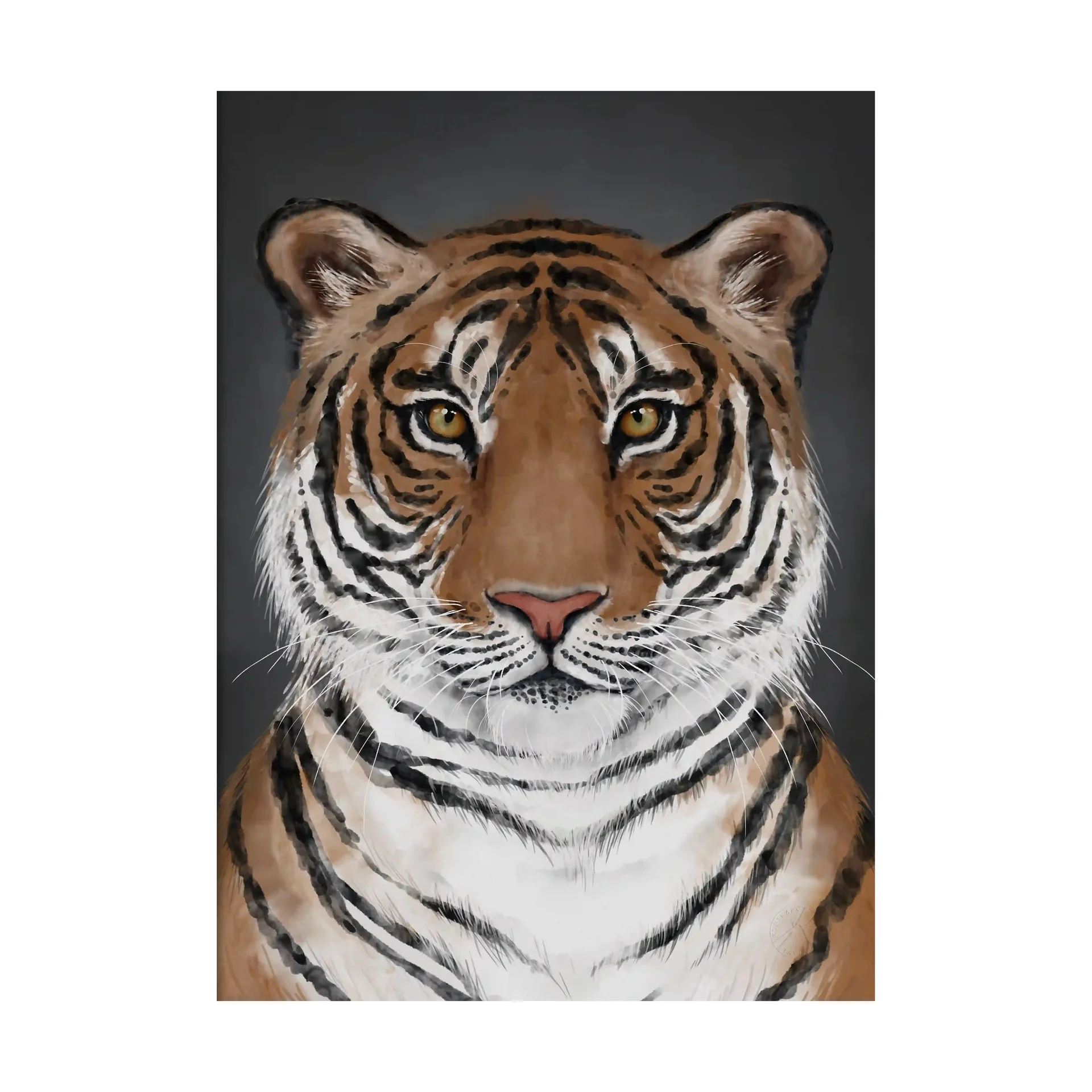 Tiger ポスター, 50x70 cm Kunskapstavlan®