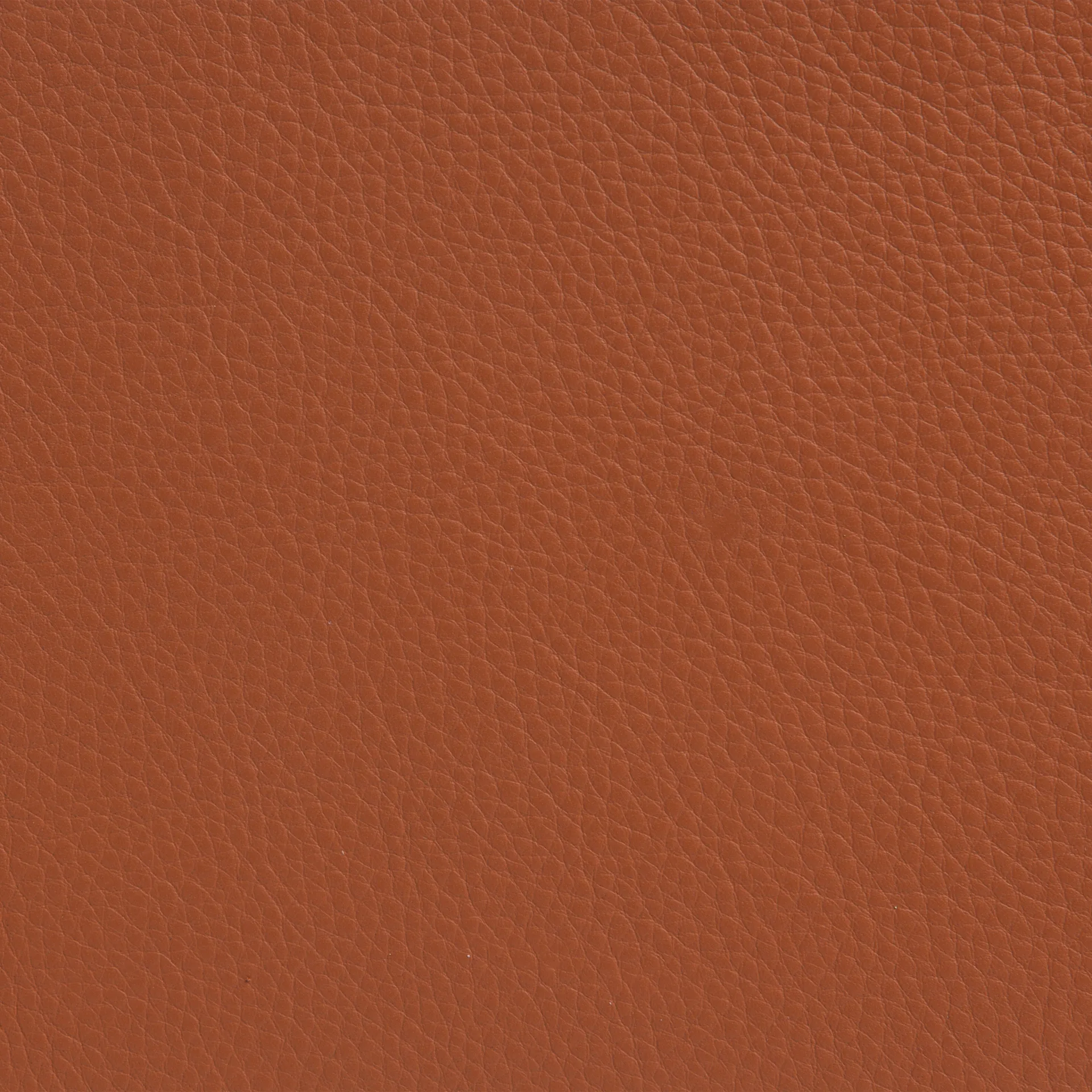 Cinema アームチェア, Elmo Nordic leather Cognac–chrome frame Lammhults | ラムホルツ