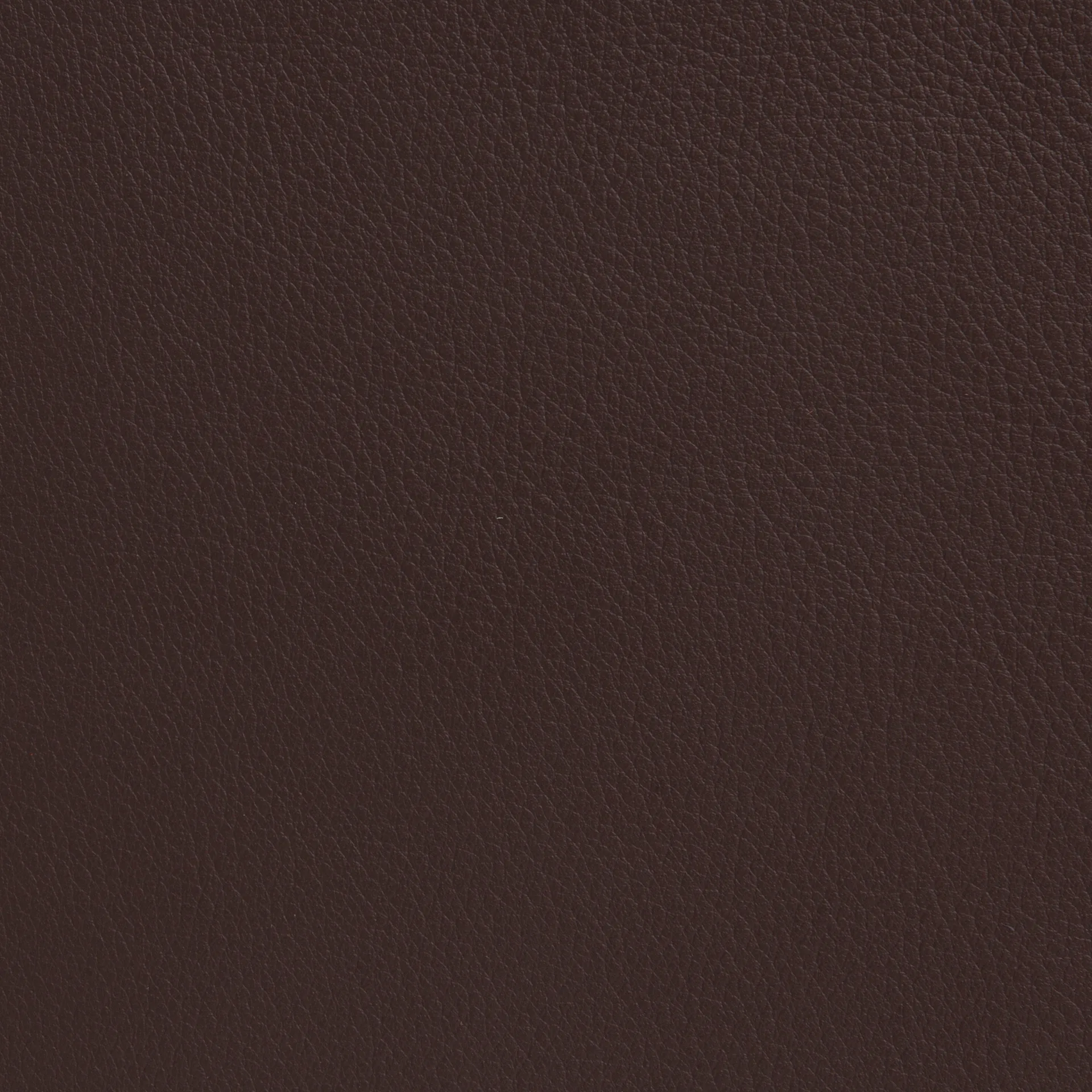Cinema アームチェア, Elmo Nordic leather dark brown–chrome frame Lammhults | ラムホルツ