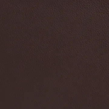 Cinema アームチェア - Elmo Nordic leather dark brown–chrome frame - Lammhults | ラムホルツ