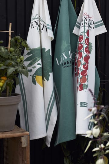 Herb キッチンタオル 50x70 cm - Green - Lexington | レキシントン