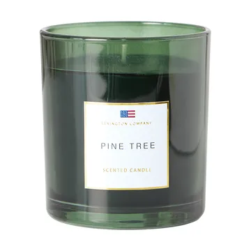 Pine Tree Scented Candle - Pine Tree キャンドル - Lexington | レキシントン