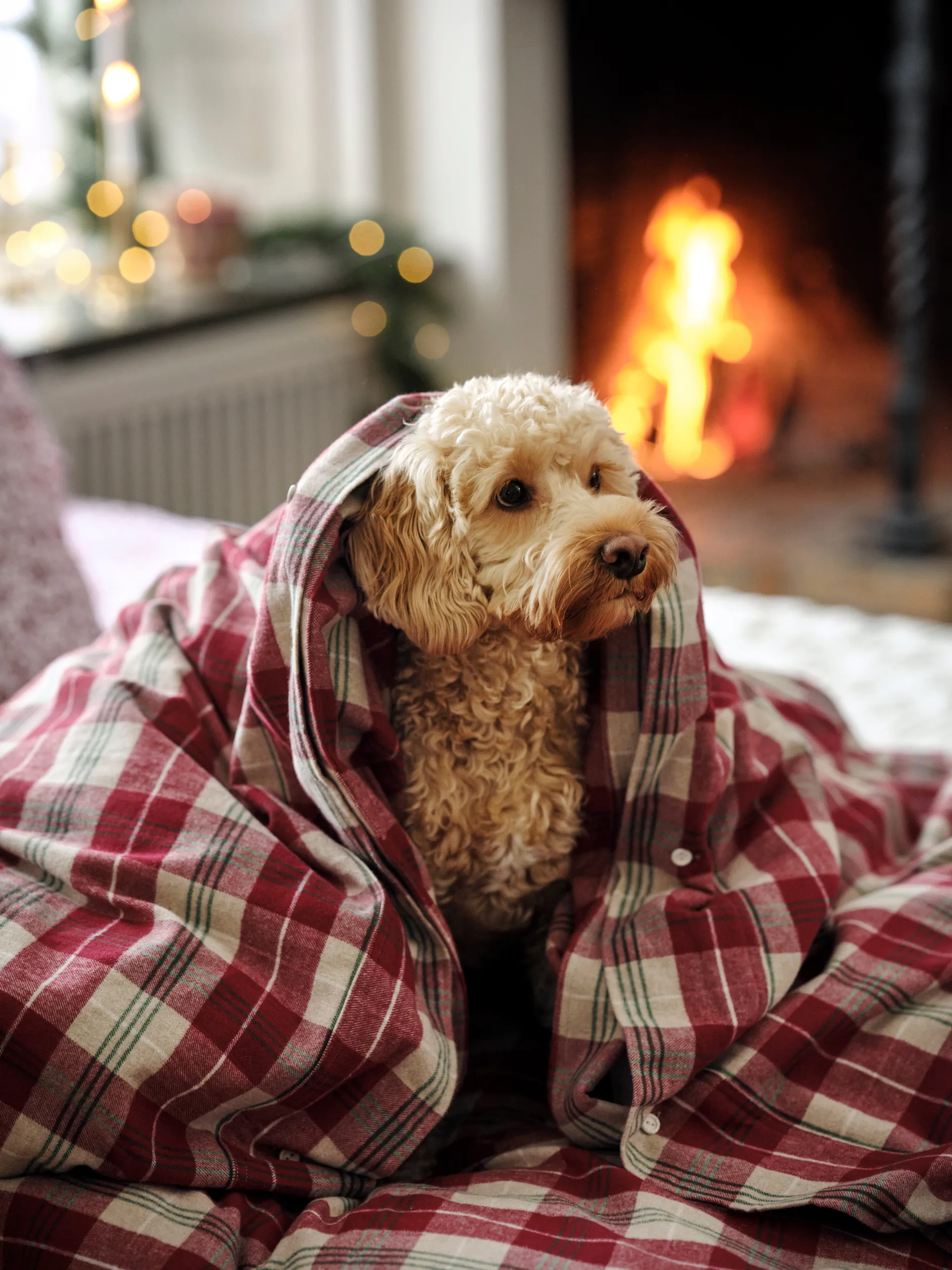 チェック コットン フランネル 寝具セット, Red-beige-green-white Lexington | レキシントン