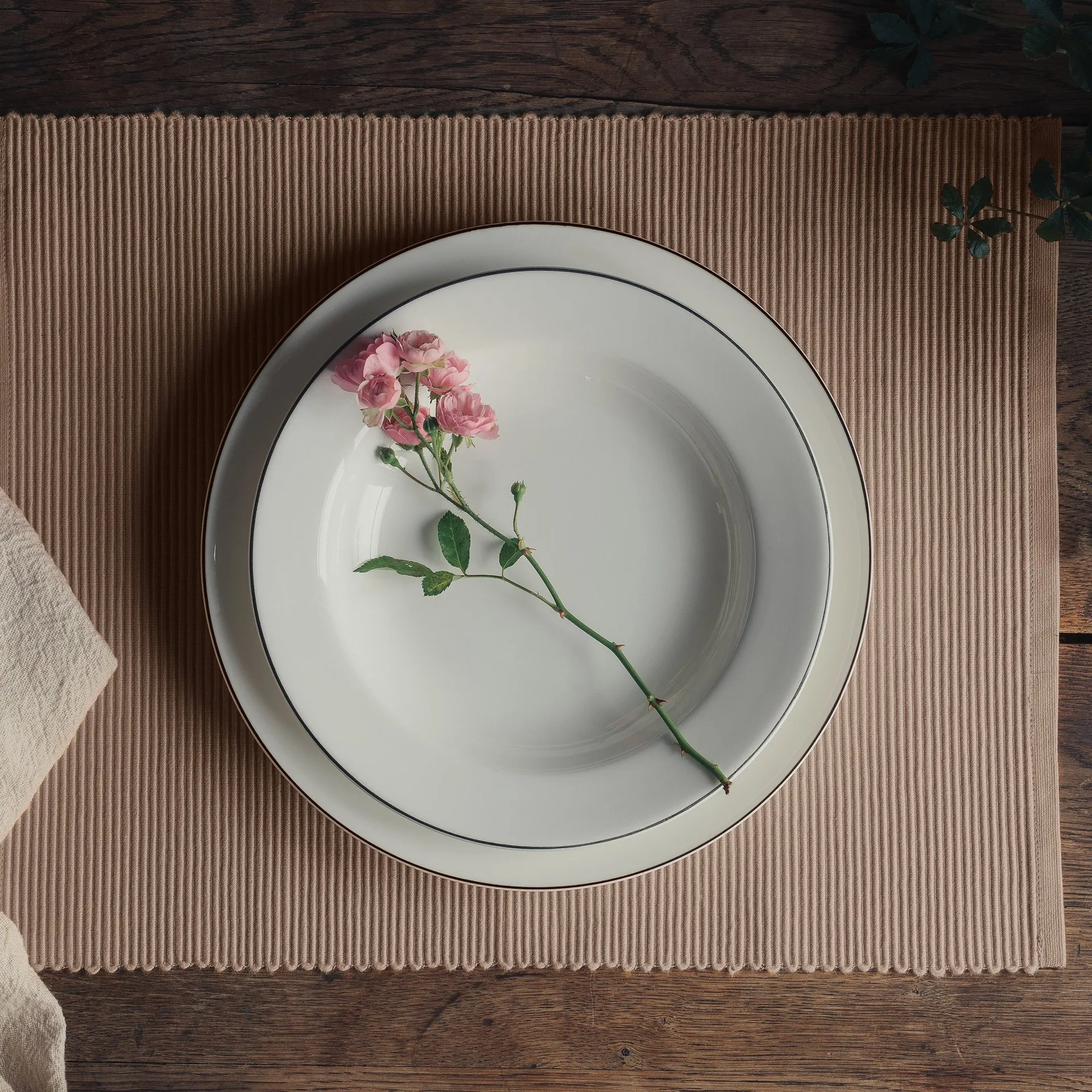 Uni プレースマット 35x46 cm 2パック, Mole brown Linum | リナム