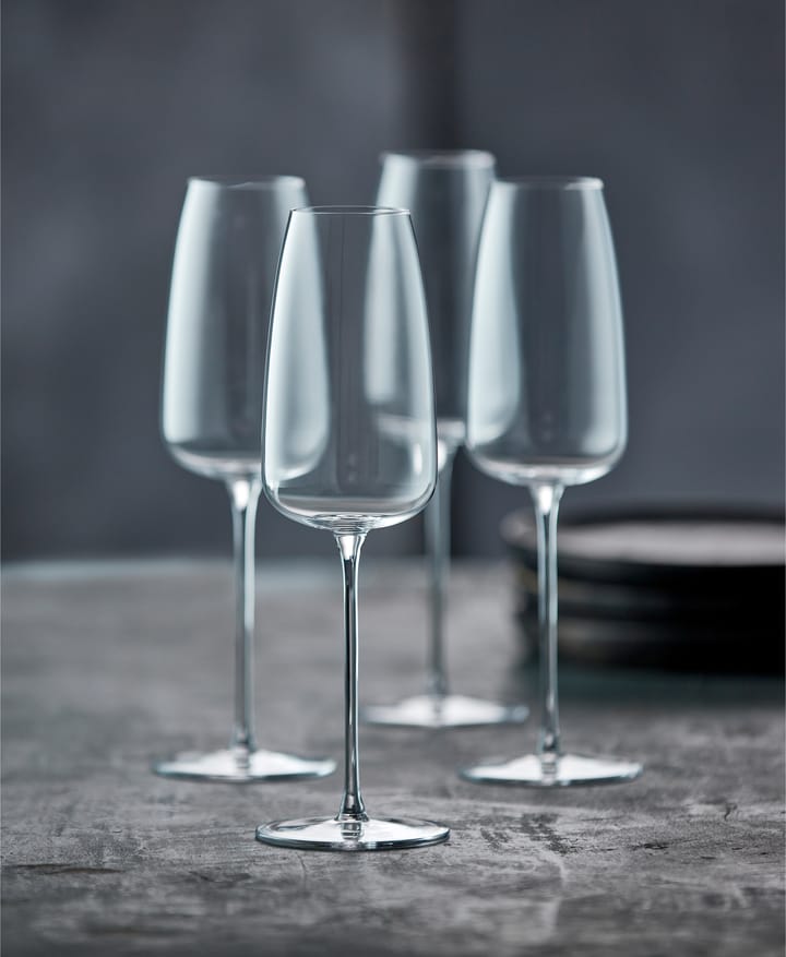 Veneto シャンパングラス 36 cl 2本セット, Clear Lyngby Glas