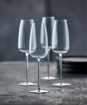 Veneto シャンパングラス 36 cl 2本セット - Clear - Lyngby Glas