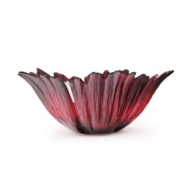 Fleur グラス ボウル red pink, small Ø19 cm Målerås Glasbruk