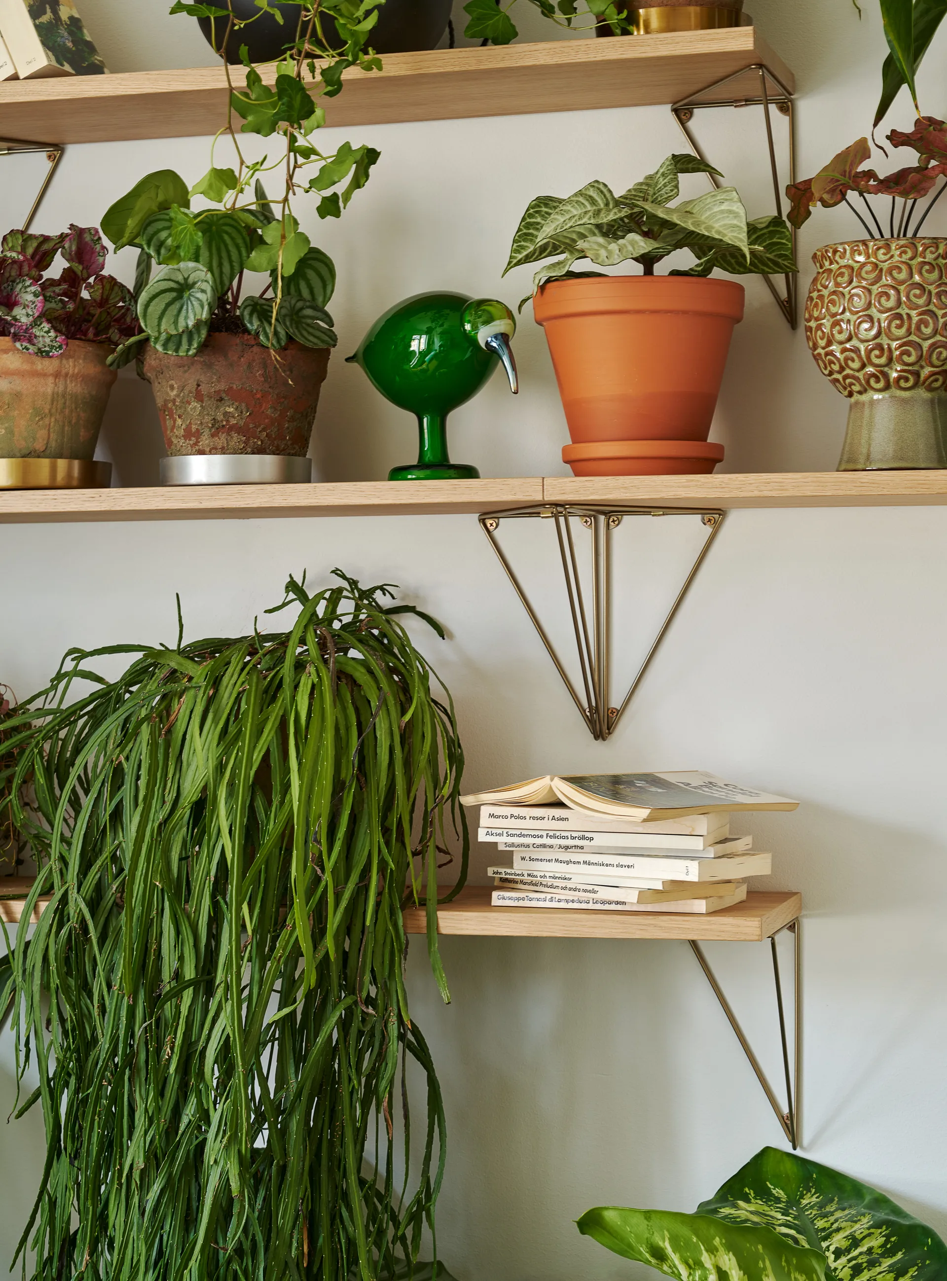 Pythagoras シェルフ, oak Maze | メイズ