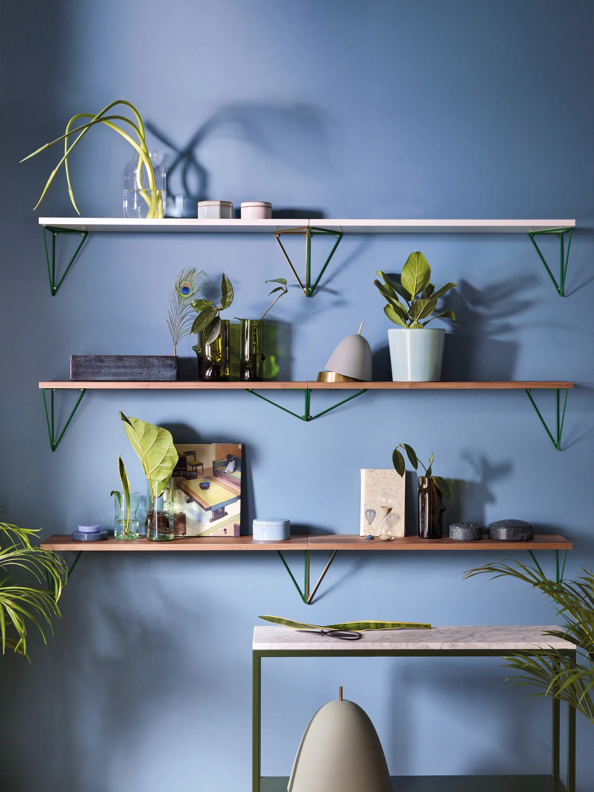 Pythagoras シェルフ, walnut Maze | メイズ