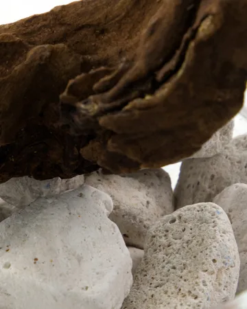 Meraki ディフューザー 溶岩石＆ウッド - White - Meraki | メラキ