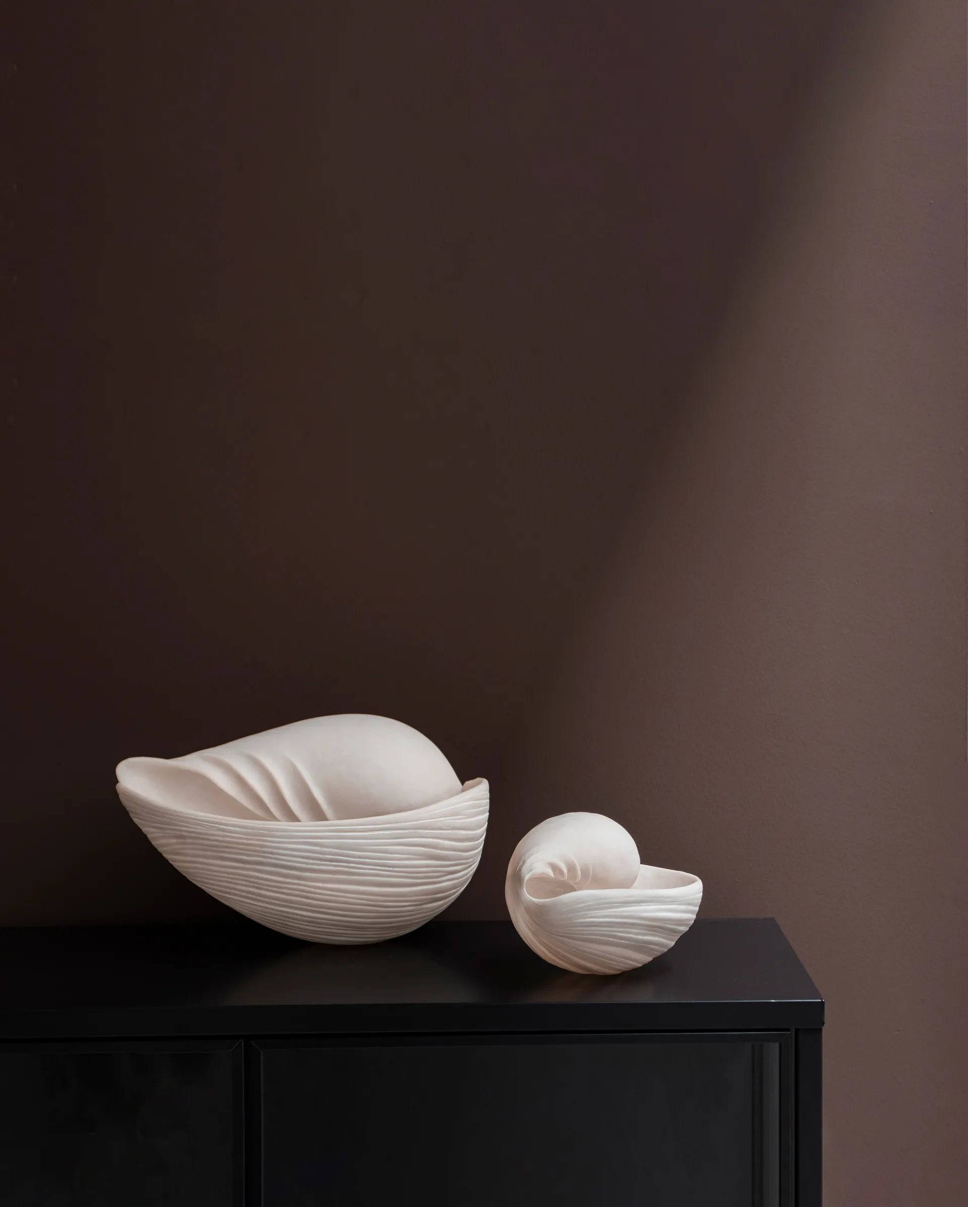 Conch 装飾用シェル, Large Mette Ditmer | メッテ ディトマー