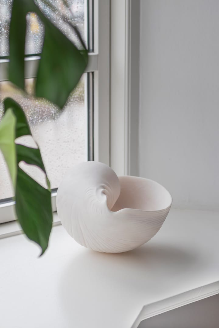 Conch 装飾用シェル, Large Mette Ditmer | メッテ ディトマー