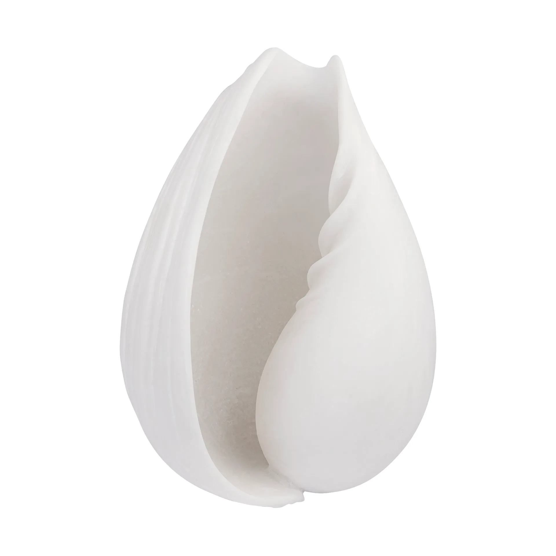 Conch 装飾用シェル, Small Mette Ditmer | メッテ ディトマー