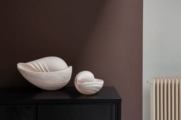 Conch 装飾用シェル - Small - Mette Ditmer | メッテ ディトマー