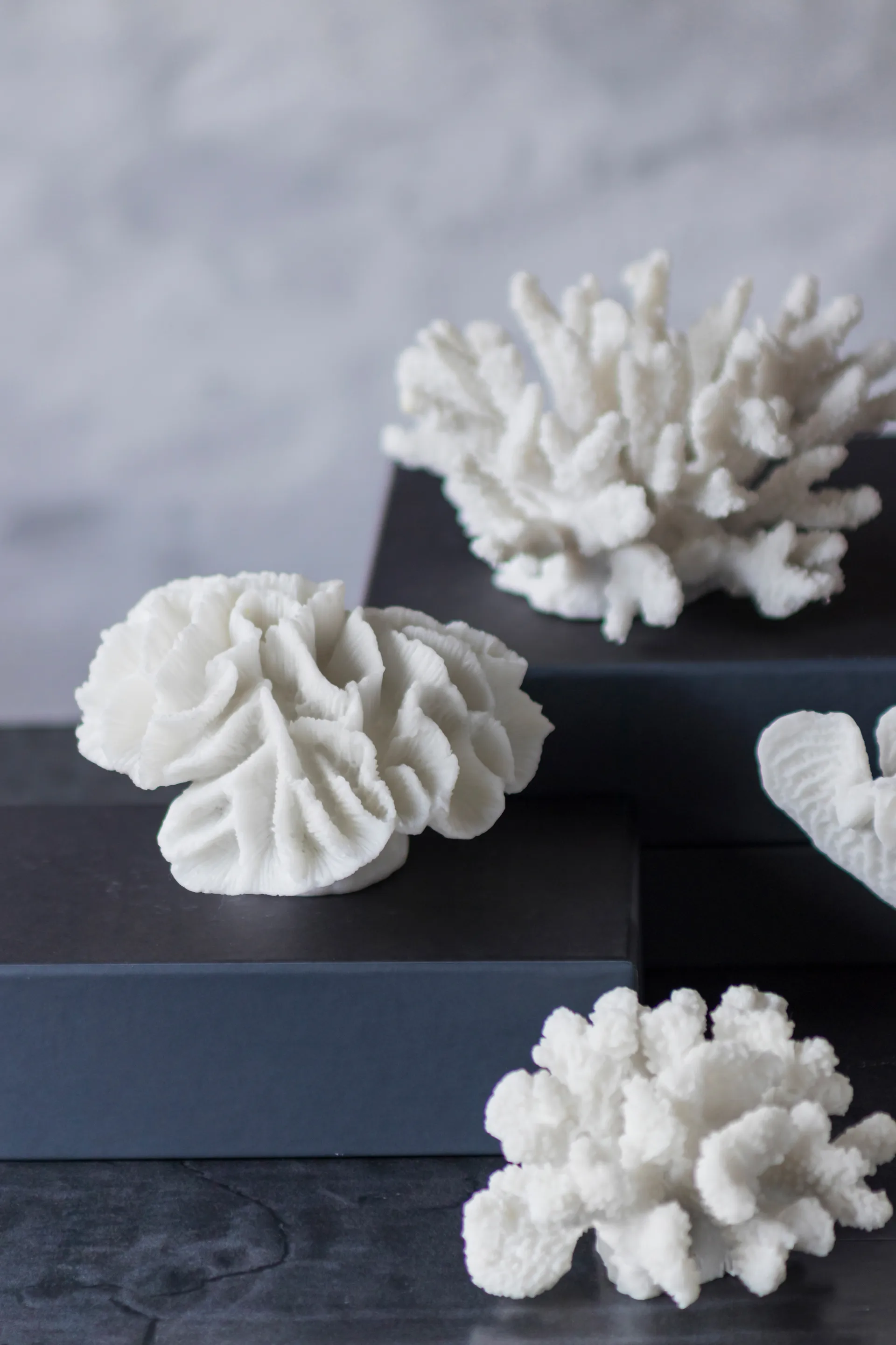 Coral branches white, Large Mette Ditmer | メッテ ディトマー