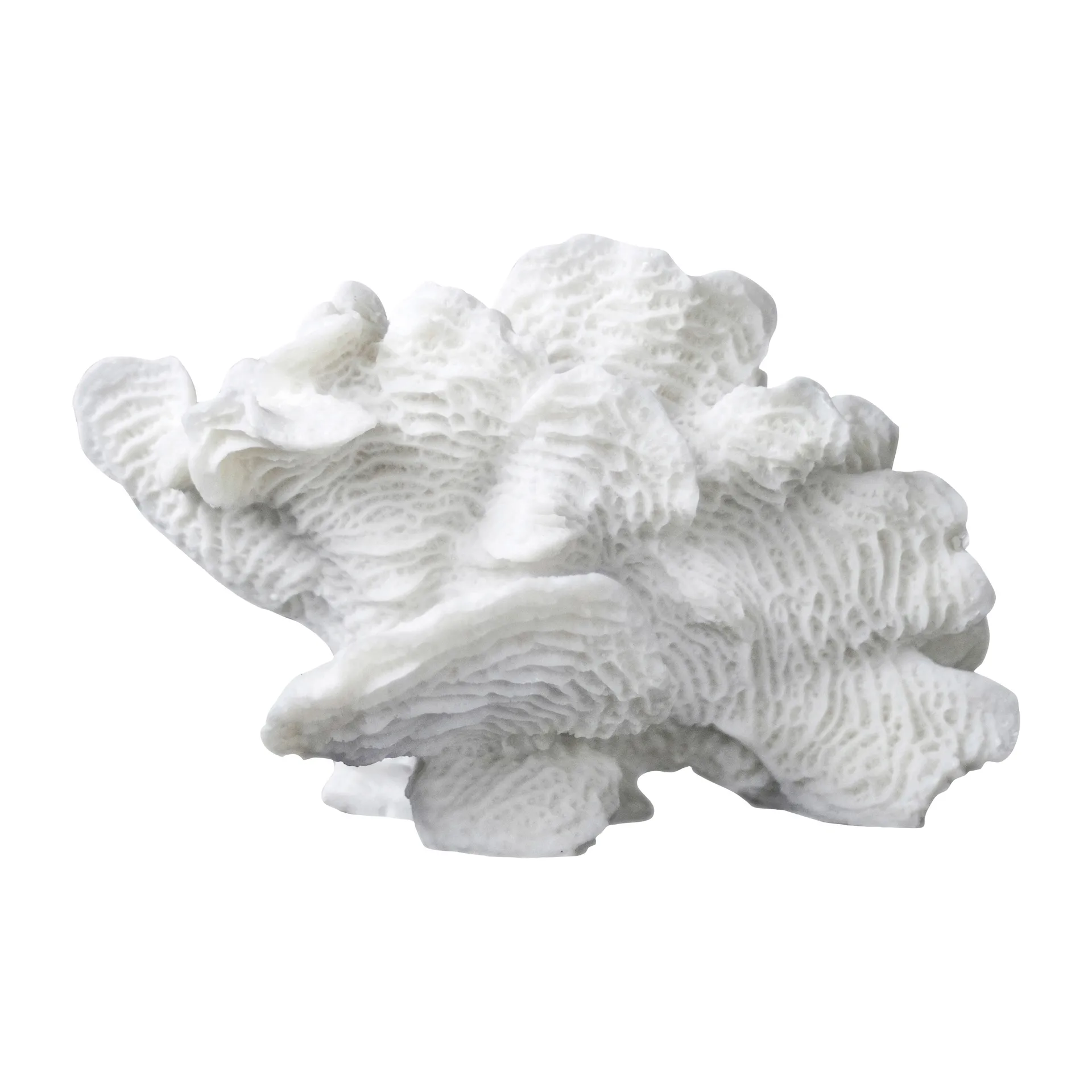 Coral fan, White Mette Ditmer | メッテ ディトマー