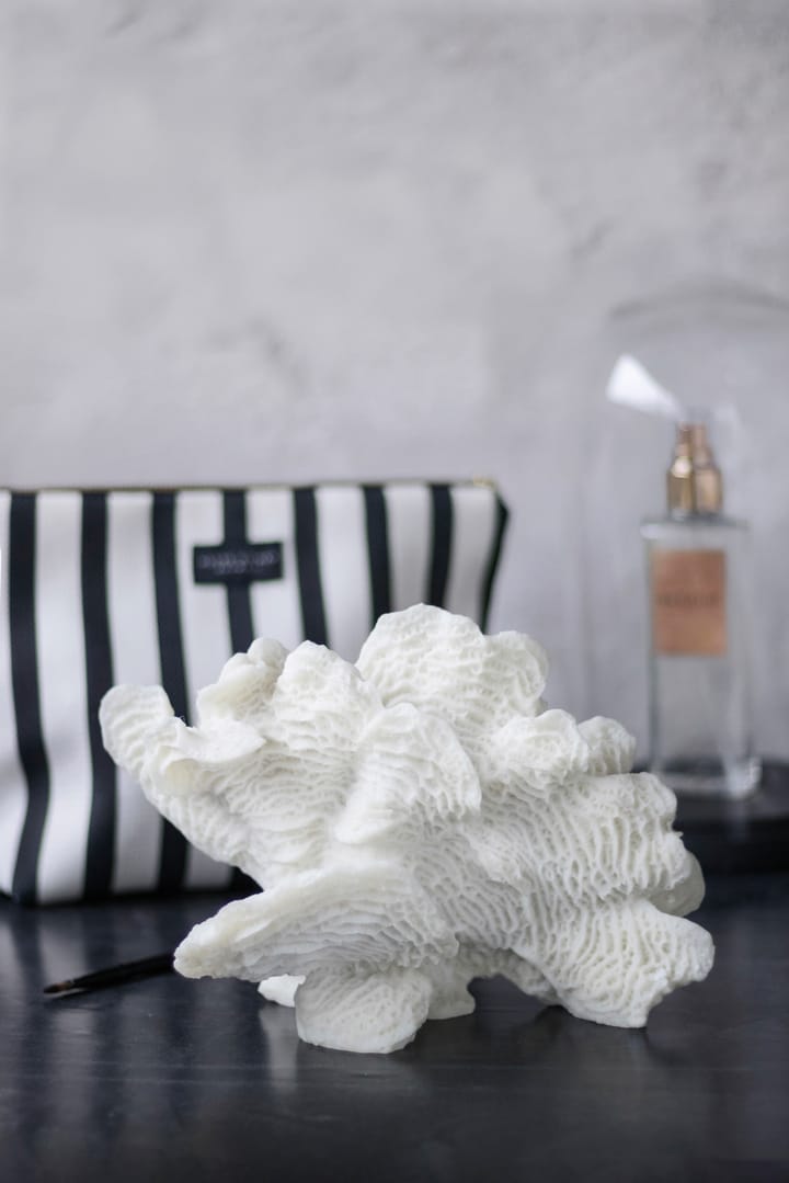 Coral fan, White Mette Ditmer | メッテ ディトマー